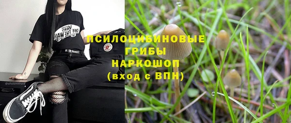 mdpv Коряжма