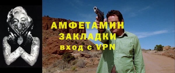 шишки Козельск