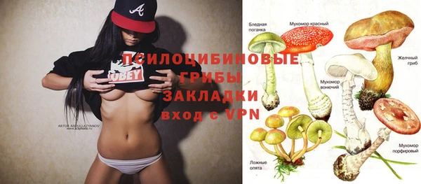 МДПВ Козловка