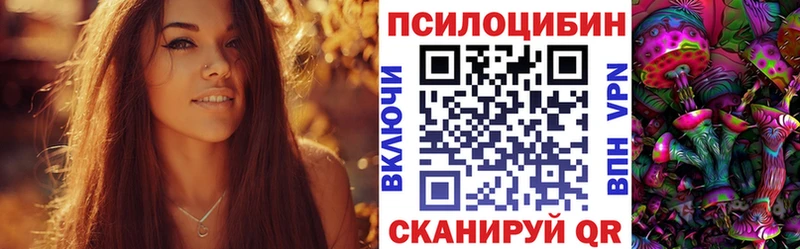 где можно купить   Усинск  Галлюциногенные грибы Psilocybine cubensis 