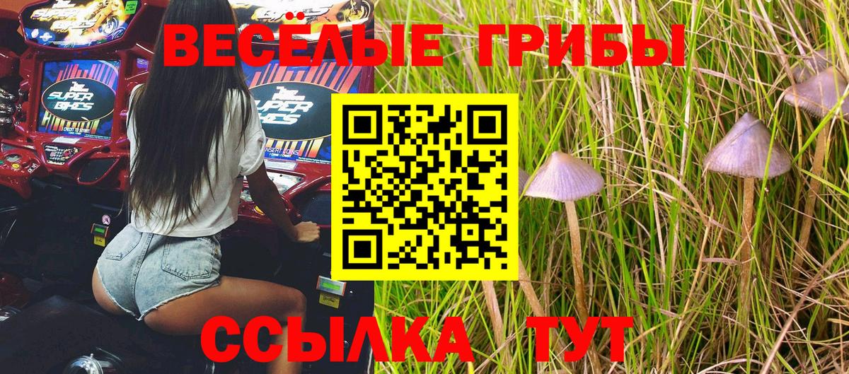 Псилоцибиновые грибы GOLDEN TEACHER Усинск