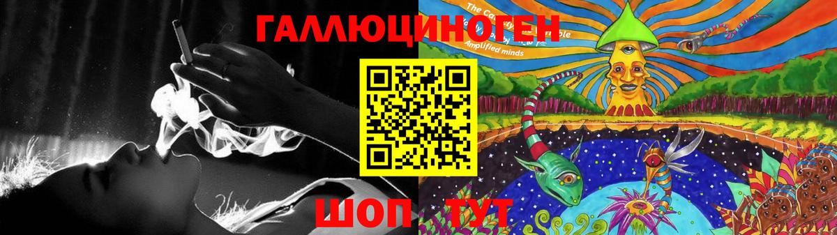 Псилоцибиновые грибы Psilocybe  Усинск 