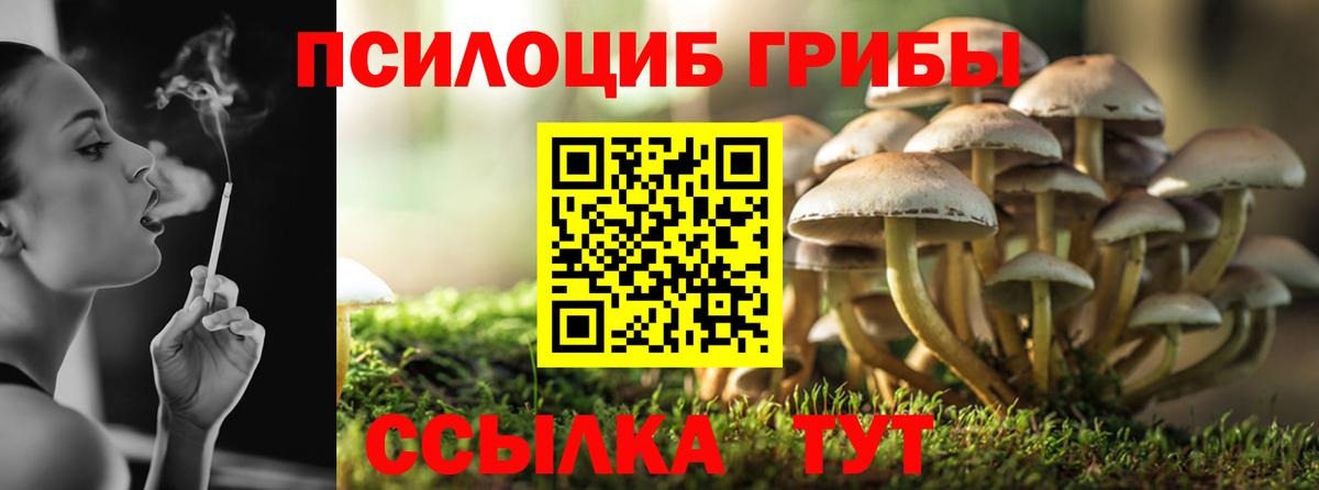 Псилоцибиновые грибы MAGIC MUSHROOMS  Псилоцибиновые грибы MAGIC MUSHROOMS  Усинск  Вход с VPN 
